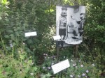 Alice-Themed Pinhole Photography Exhibition at Oxford Botanic Garden
